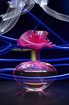 colors, smell, fragrance